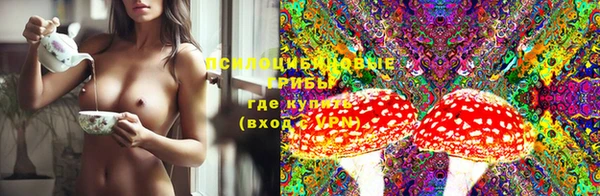 jwh Богородицк