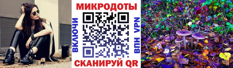 Купить  Лагань  Галлюциногенные грибы Psilocybe 
